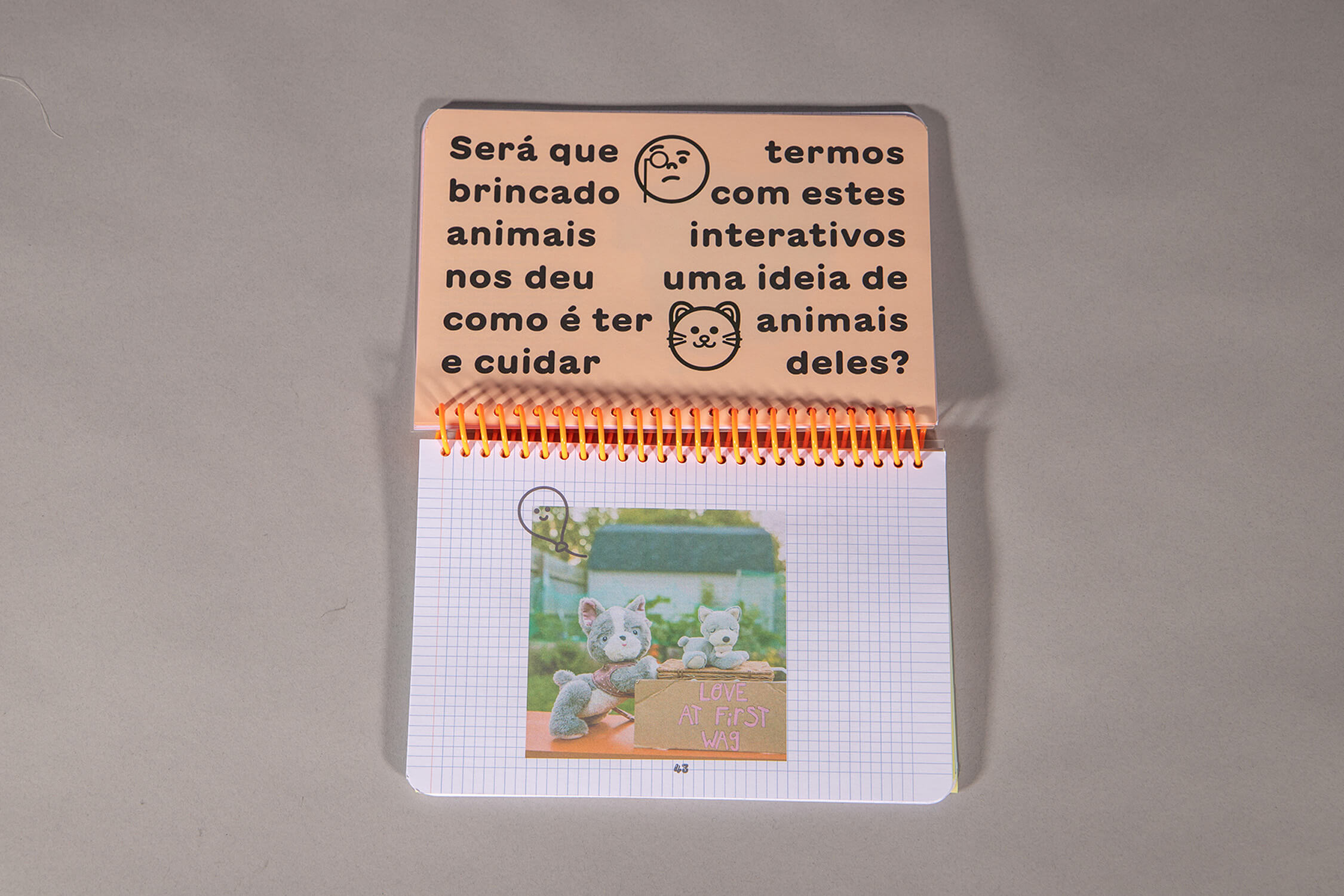 o baú first pages